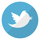 The Twitter logo